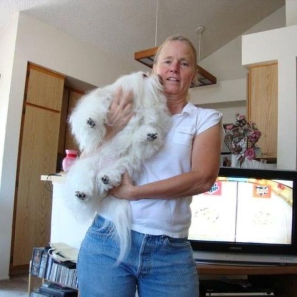 Meet your Posher, Rita - Picture 1 of 1